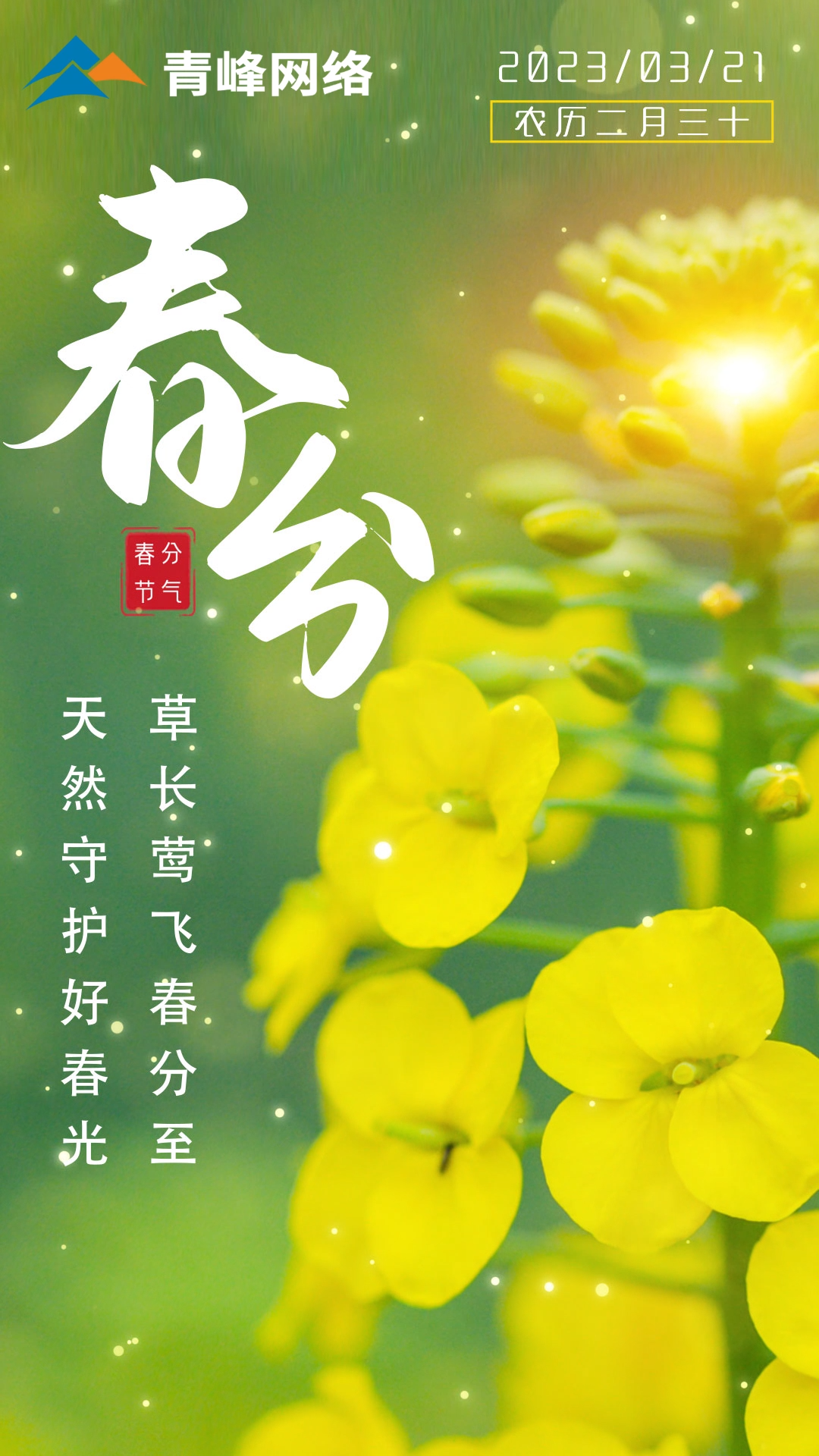 【春分】草長鶯飛春分至，天然守護好春光。